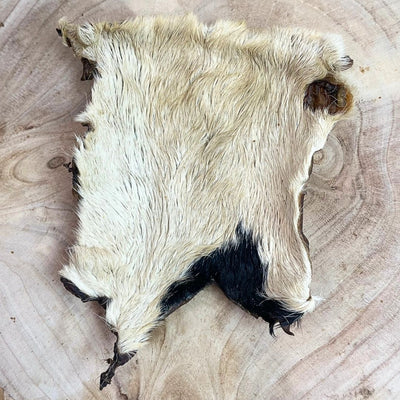 XL Hairy Beef Skin – Natural Long-Lasting Chew for Dogs
