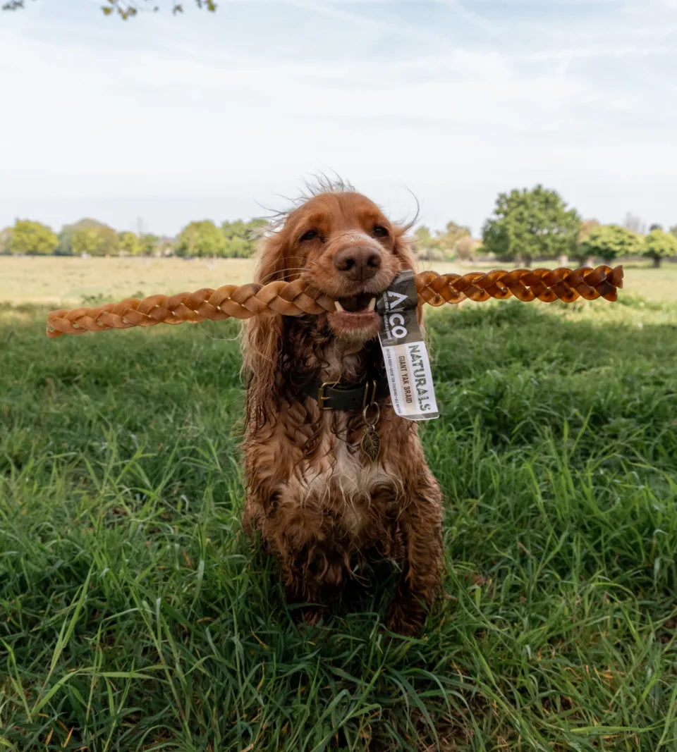 Anco Naturals Giant Yak Braid | 100% Braided Yak Skin Dog Chew