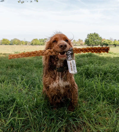 Anco Naturals Giant Yak Braid | 100% Braided Yak Skin Dog Chew