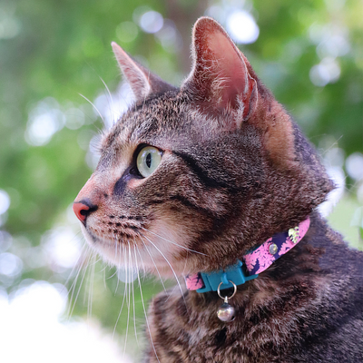 KITTYRAMA KITTEN BOTANICALS FERN COLLAR - Quick Release, Breakaway, Hypoallergenic