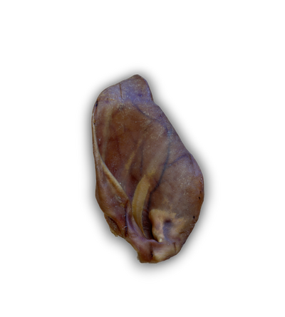 Pigs Ear Natural Dog Treat - Single