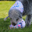 Ancol Pawty Time Pawty Balloon Dog Toy
