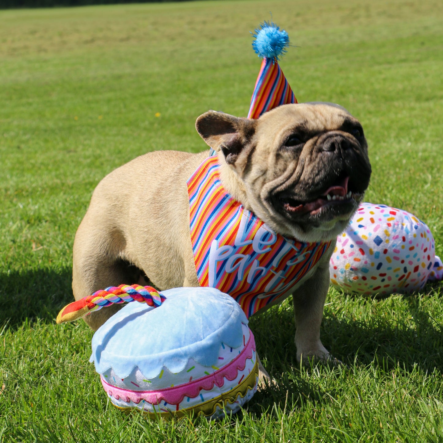 Ancol Pawty Time Pawty Sprinkle Cake Dog Toy