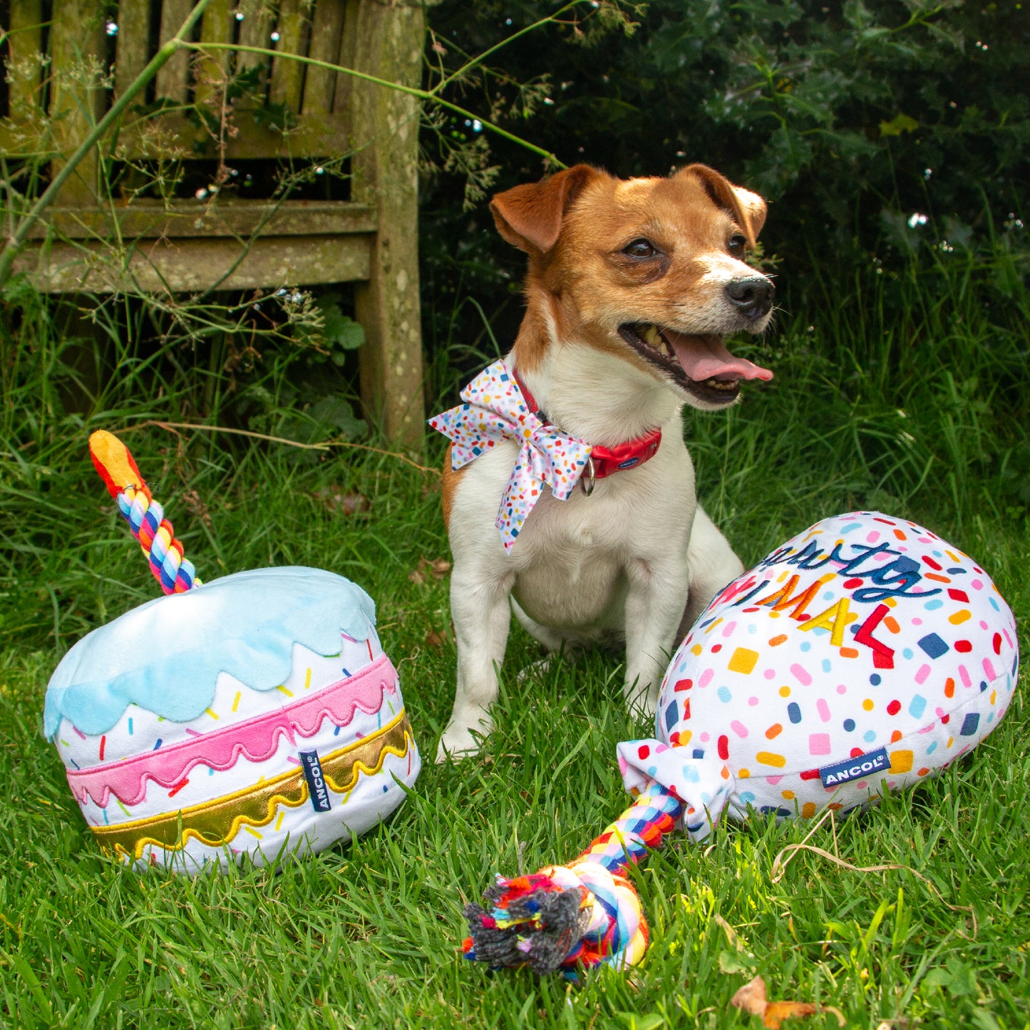 Ancol Pawty Time Pawty Sprinkle Cake Dog Toy