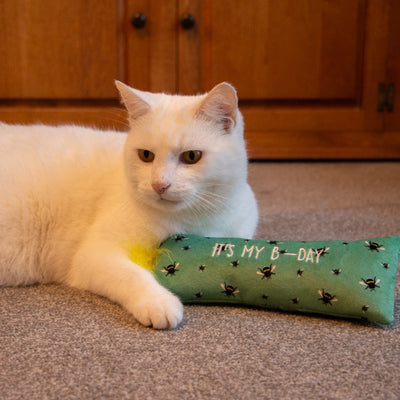 Ancol Birthday Day Cat Kicker Toy