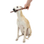 Bulls Pizzle Sticks Natural Dog Treat - Single various sizes