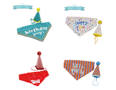 Ancol Pawty Collection - Dog Hat & Bandana