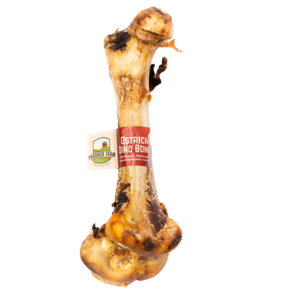 Ostrich Dino Bone Long Lasting Dog Treat