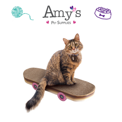 Skateboard Cardboard Cat Scratcher