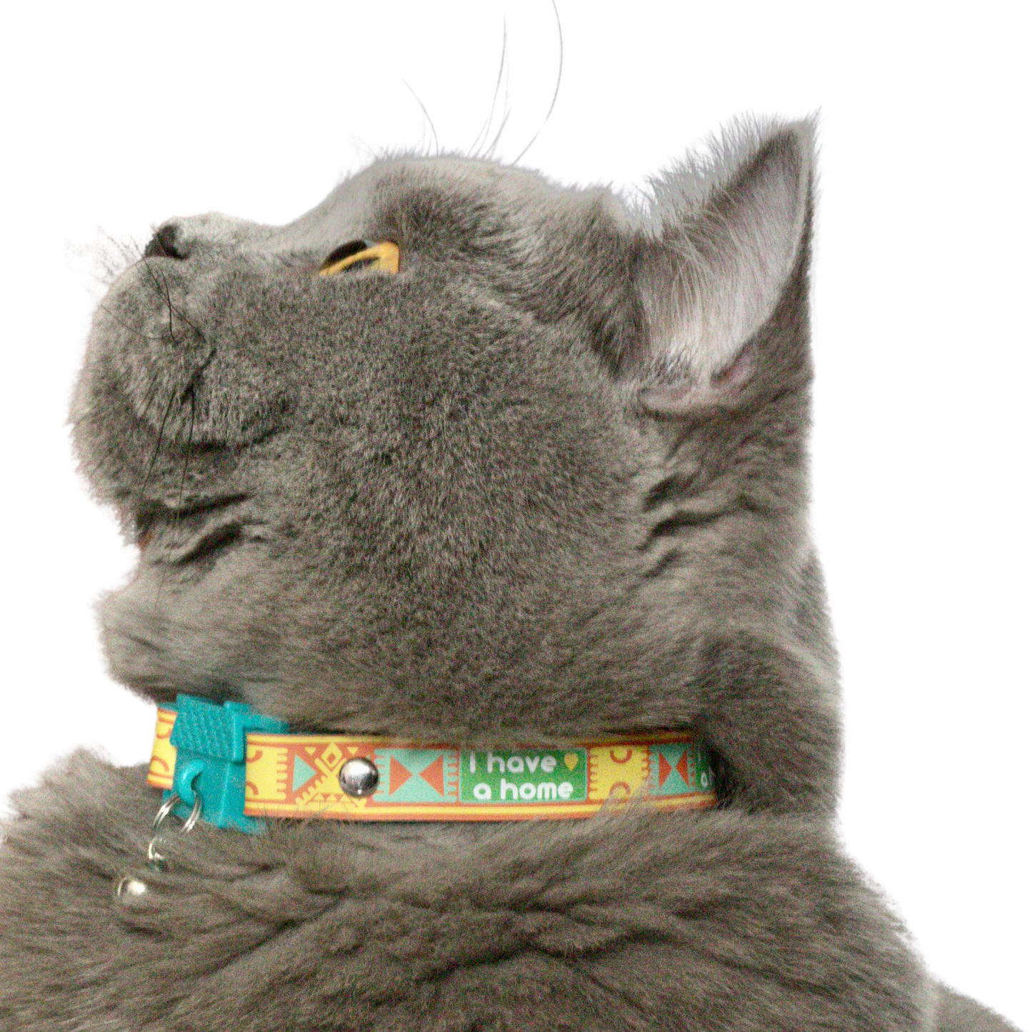 KITTYRAMA SAVANNA 'I HAVE A HOME' CAT COLLAR - Quick Release, Breakaway, Hypoallergenic