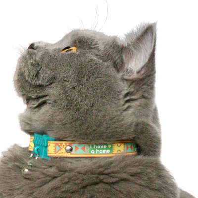 KITTYRAMA SAVANNA 'I HAVE A HOME' CAT COLLAR - Quick Release, Breakaway, Hypoallergenic