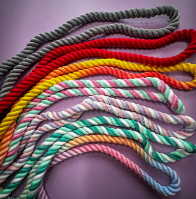 Pup Chic Boutique 7ft Multi Use Rope Lead