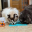Supernature x LickiMat Tuna Lickeez Natural Cat Enrichment Spread 100g