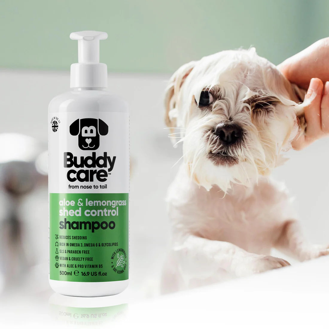 Dog getting bathed with Buddycare Shed Control Shampoo – reduces shedding and promotes a healthy, shiny coat.
