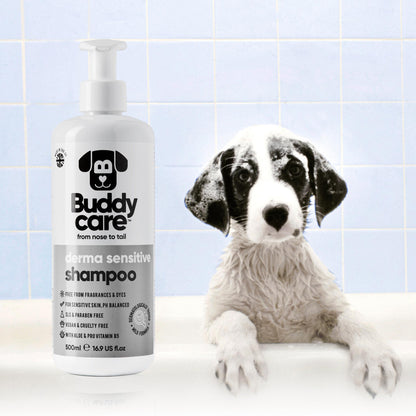 Dog being bathed with Buddycare Fox Poo Shampoo – designed to neutralise stubborn odours and refresh the coat.

