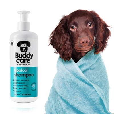 Buddy Care Tropical Shampoo For Dogs