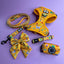 Pup Chic - Summer Buzzin Range - Harnesses, Leads, Collars Etc