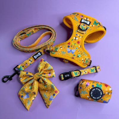 Pup Chic - Summer Buzzin Range - Harnesses, Leads, Collars Etc