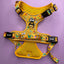 Pup Chic - Summer Buzzin Range - Harnesses, Leads, Collars Etc