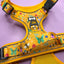Pup Chic - Summer Buzzin Range - Harnesses, Leads, Collars Etc