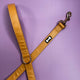 Pup Chic Alfresco Pup Vegan Leather 5ft Dog Lead - Camel.