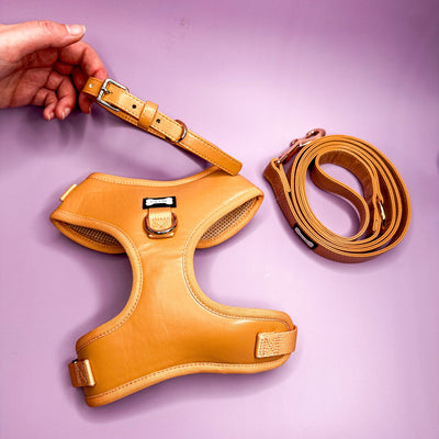 Pup Chic - Alresco Pup - Harnesses, Leads, Etc