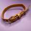 Pup Chic Alfresco Pup Vegan Leather Dog Collar - Camel