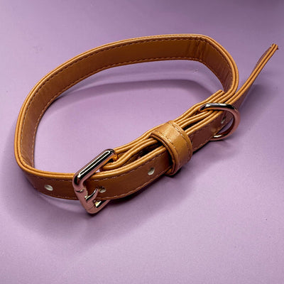 Pup Chic Alfresco Pup Vegan Leather Dog Collar - Camel.