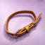 Pup Chic - Alresco Pup - Harnesses, Leads, Etc