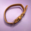 Pup Chic - Alresco Pup - Harnesses, Leads, Etc