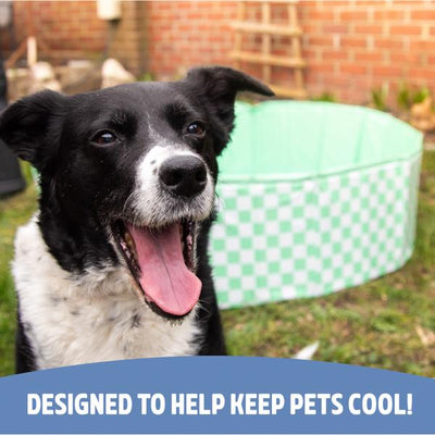 Black and white dog with a green inflatable pool in the background, text 'DESIGNED TO HELP KEEP PETS COOL!'.