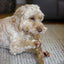Goodwood Coffee Wood Natural Chew For Dogs