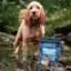 Anco Oceans Dried Herring – 10 Pack Dog Treat