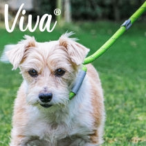 Viva Rope Slip Lead 150cm x 0.8cm