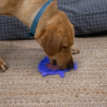 Örva Puffer Fish Lick Mat in recyclable, minimal packaging – fun and sustainable pet enrichment tool.
