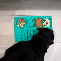 Dog using Örva Suction Cup Feeding Station with raw food – helps slow down mealtime and aid digestion.
