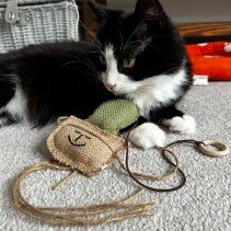 Ancol Interactive Cat Cactus – 60cm Cat Dangler Toy