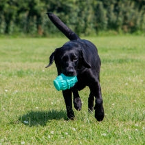 Ancol Örva Treat Barrel – Durable Dog Enrichment Toy