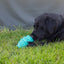Ancol Örva Treat Barrel – Durable Dog Enrichment Toy