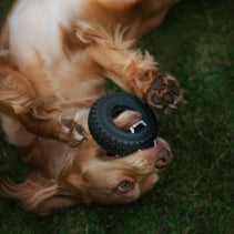 Ancol Örva Treat Tyre – Durable Enrichment Toy for Dogs