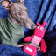 Dog wearing a green sweater with a pink toy on a blue blanket
