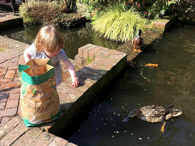 Brambles Floating Swan & Duck Food 1.75kg – Nutritious & Responsible Feeding