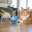 Cat playing with a toy on a wooden floor