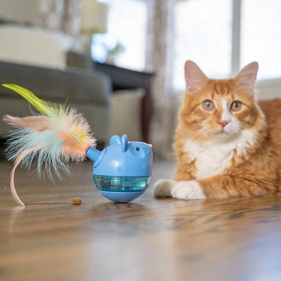 Cat playing with a toy on a wooden floor