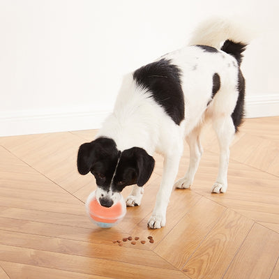 DOG RUMBLE PUZZLE - TOPSY TREAT BALL