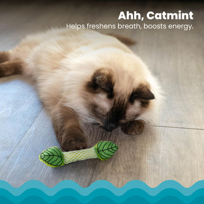 Nina Ottosson Catstages Fresh Breath Mint Stick Cat Toy – Dental Chew with Real Catmint