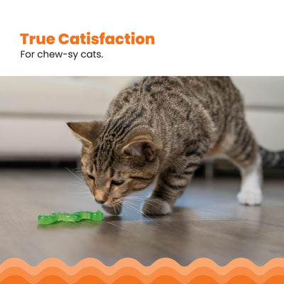Cat playing with a green toy on a wooden floor, with 'True Satisfaction For chew-ty cats' text above.