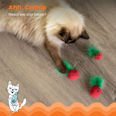 Cat playing with catnip toys on a wooden floor, with text 'Ahh, Catnip Need we say more?'