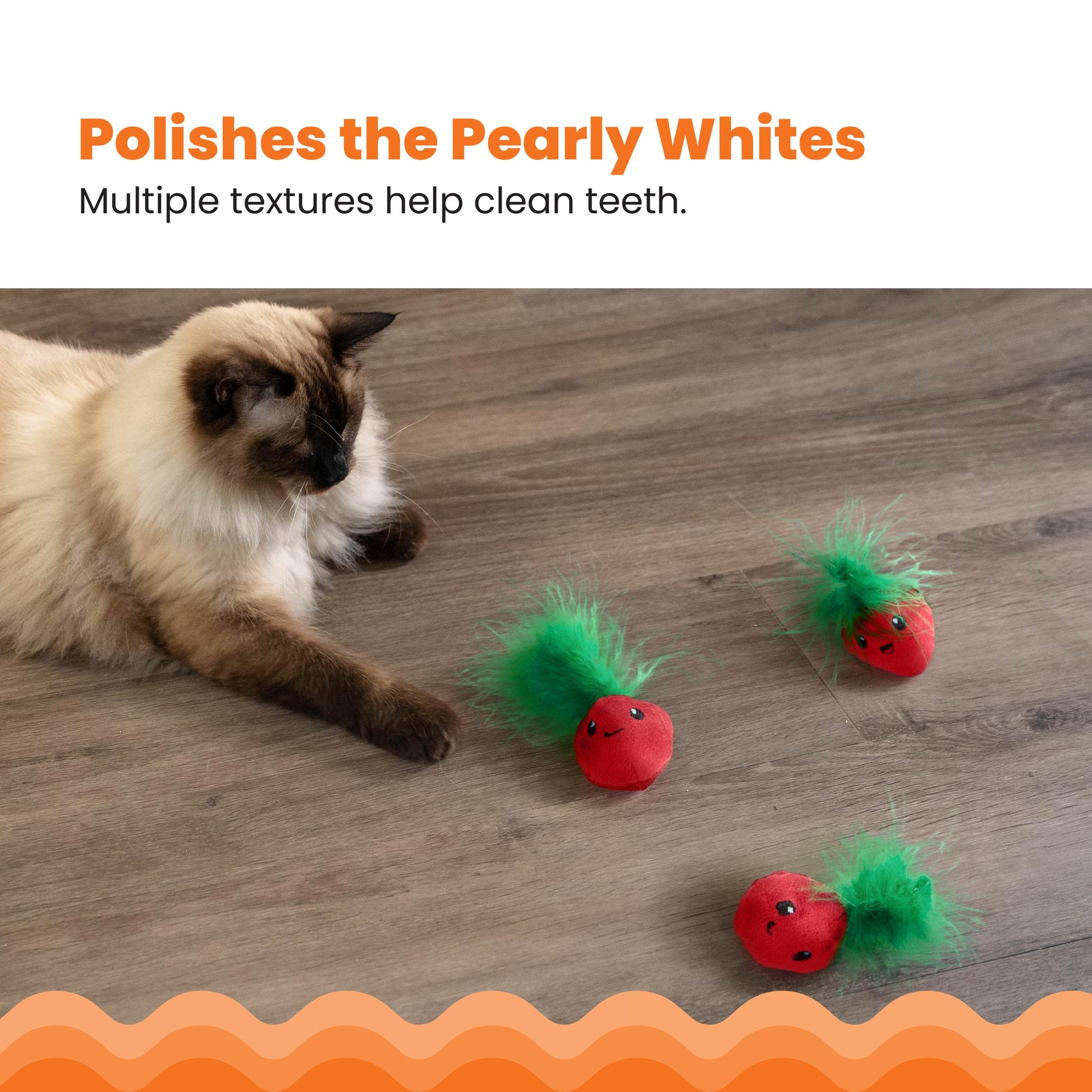 Cat playing with red and green cat toys on a wooden floor, with text about dental health.