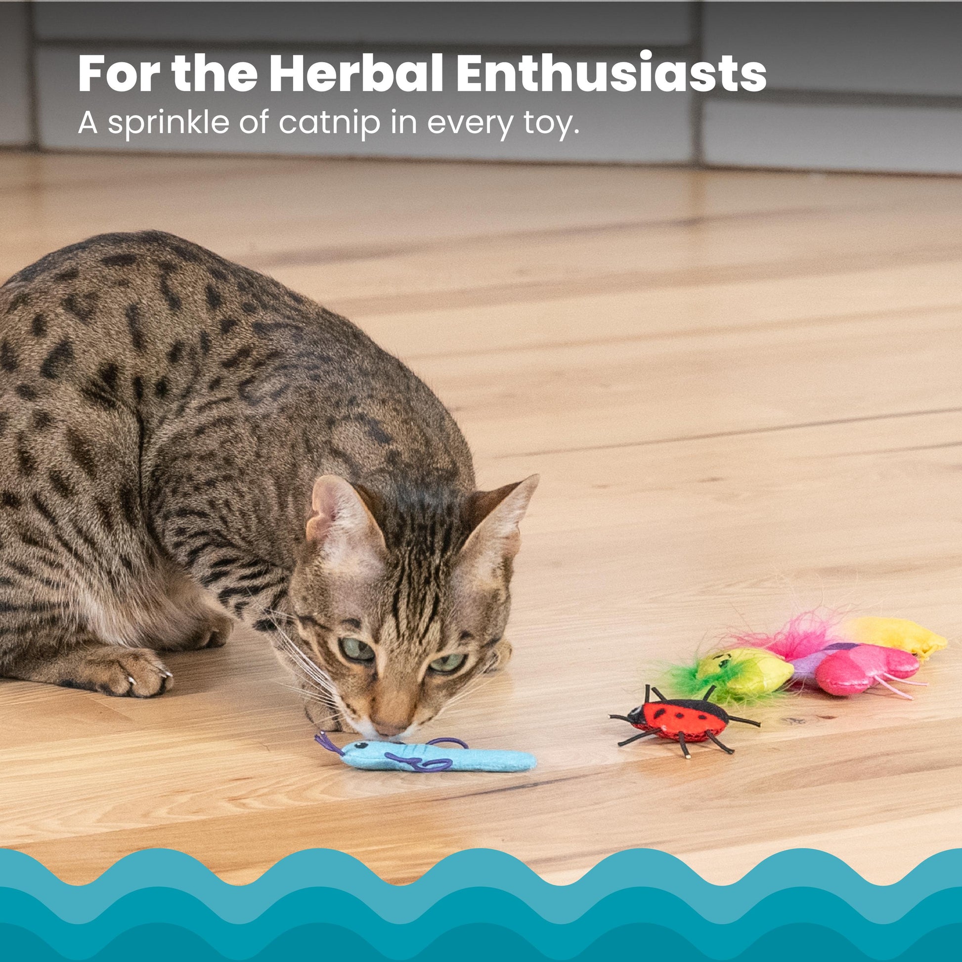 Cat playing with a toy on a wooden floor with text about catnip.